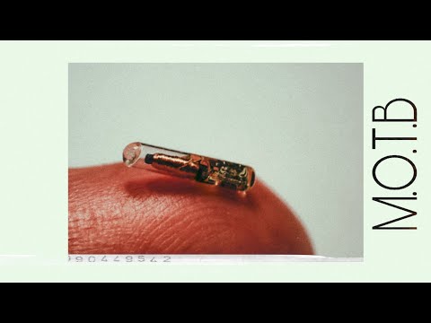 Ready Or Not, The Beast System Is Coming ‼️