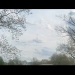 Saints of Jersey2 🚨Go Hard For This Truth‼️