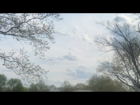 Saints of Jersey2 🚨Go Hard For This Truth‼️