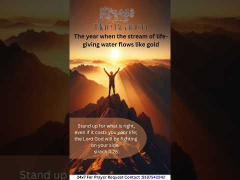 Word of God sirach 4:28 Amen 🙏