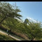 Saints of Jersey2 ⚡️ALL HELL CAN BREAK LOOSE AT ANY TIME‼️‼️STAY ON POINT‼️👀