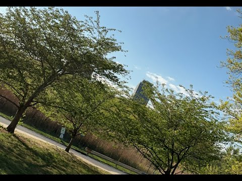 Saints of Jersey2 ⚡️ALL HELL CAN BREAK LOOSE AT ANY TIME‼️‼️STAY ON POINT‼️👀