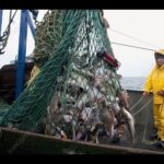Fishing for the Souls of Men (Matthew 4:19) !