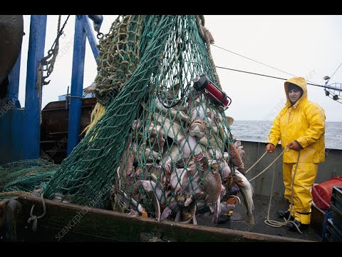 Fishing for the Souls of Men (Matthew 4:19) !