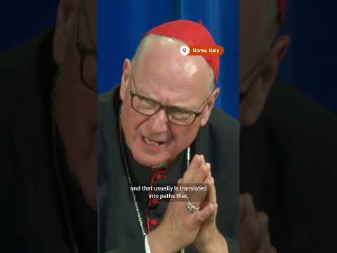 Cardinal reflects on conclave to elect Pope Leo